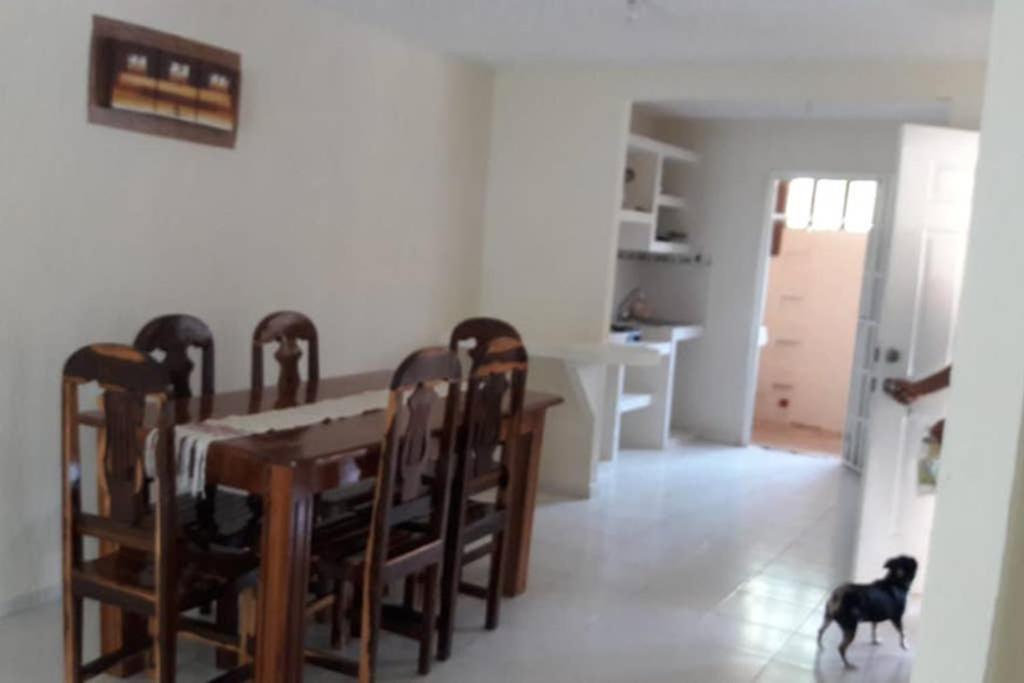 Joyas de Ixtapa... ¡El confort de tu Casa Ideal! Ixtapa  Exterior foto